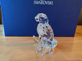 Swarovski Figur Gepard