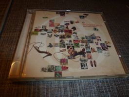 Wonderwall - What does it mean (CD)