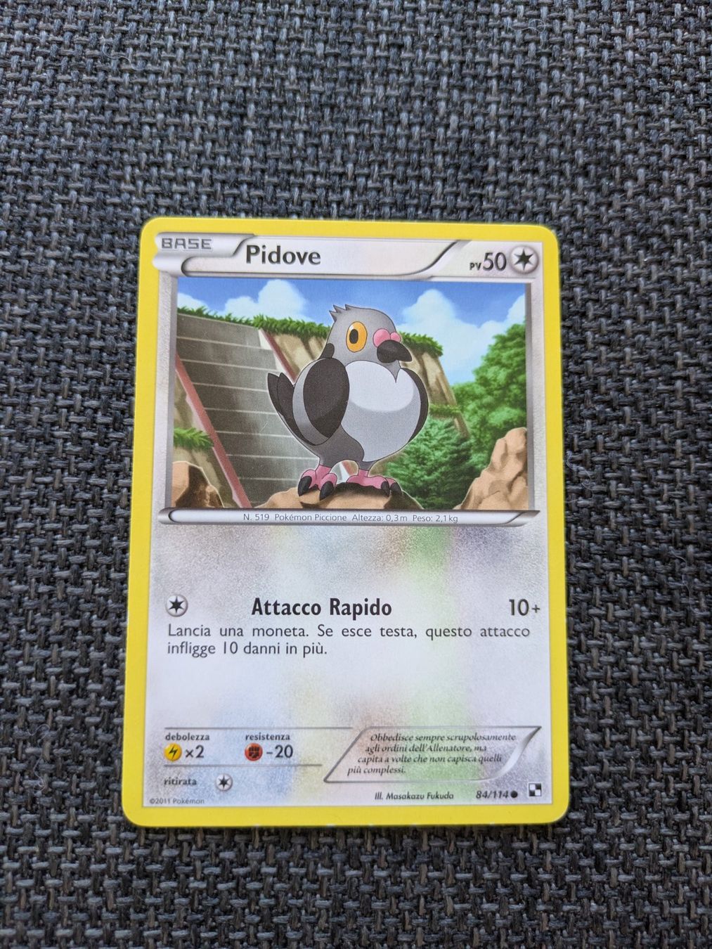 Pokémon Carte collezionabili: PIDOVE, BLACK & WHITE, BLW84, COM, 2011, ITA, GD – Usato da Losone venduto da AlpineLayer