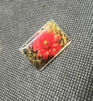 Pin - Anstecknadel mit roter Kaktusblüte in Harz