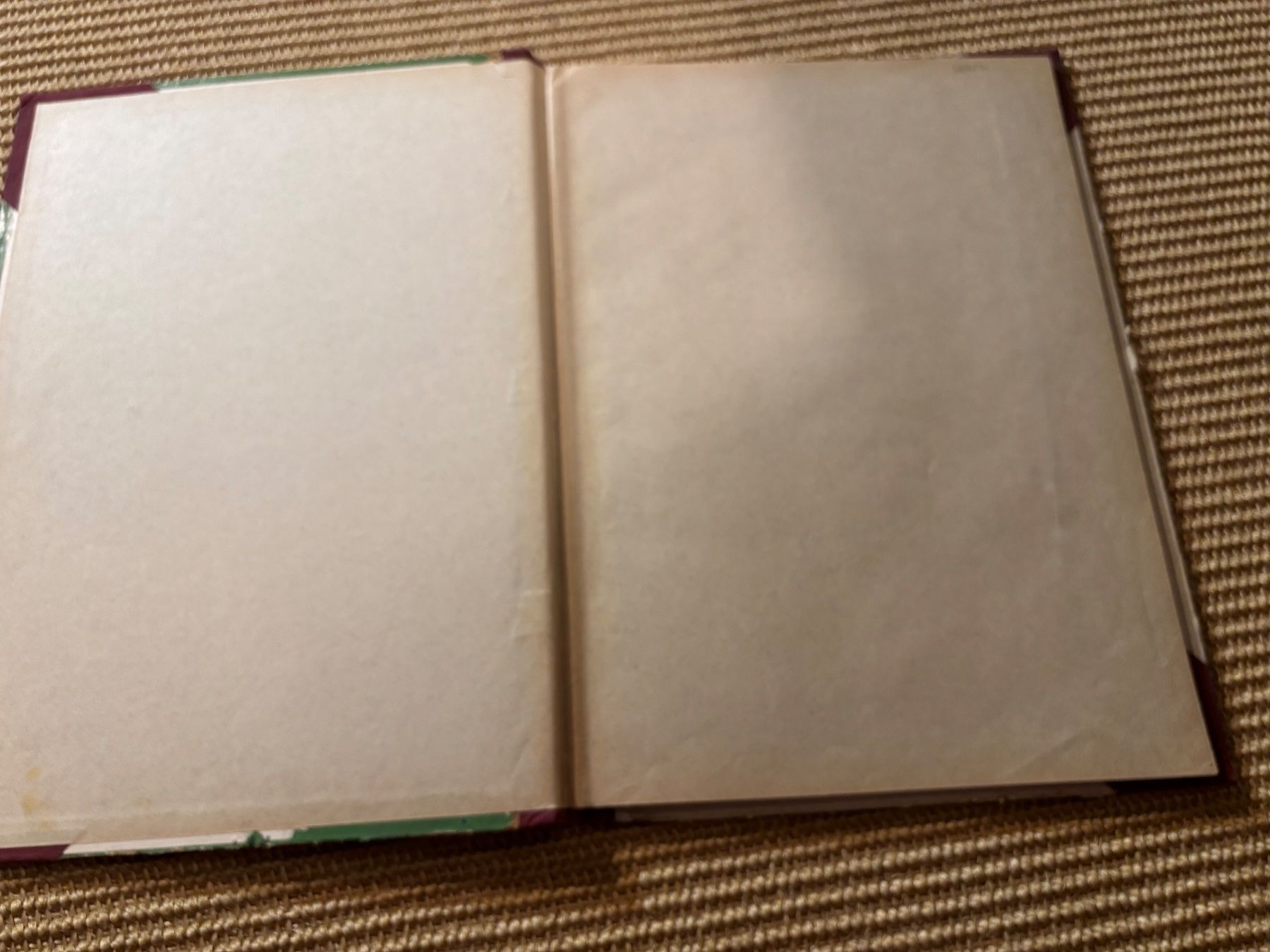 Libri: Die Sommerreise / Gertrud Caspari – Usato da Langenthal venduto da Riccardamax 1