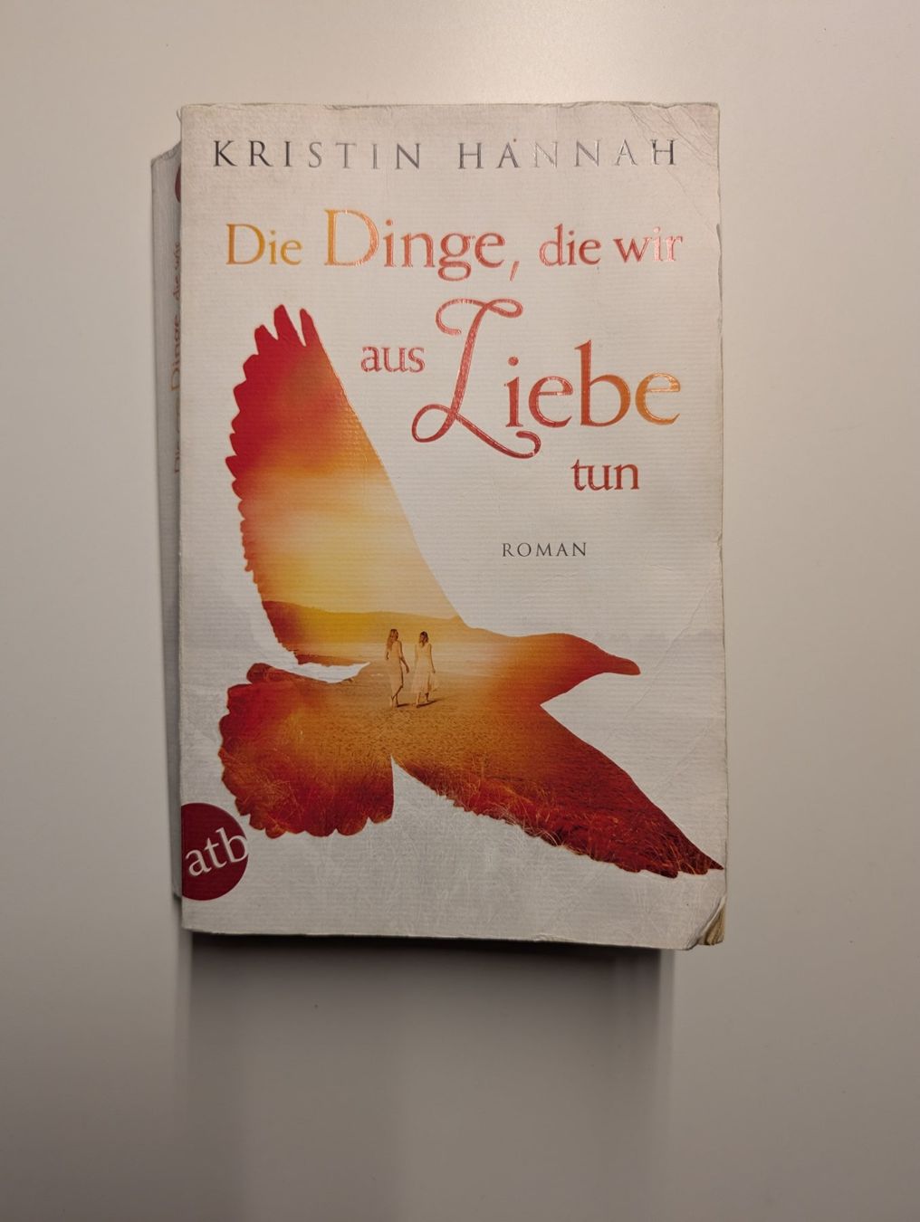 Libri: Die Dinge, die wir aus Liebe tun – Usato da Holziken venduto da gummi_baerli93