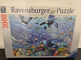 Neu - Ravensburger - Puzzle 3000 Unterwasserspass