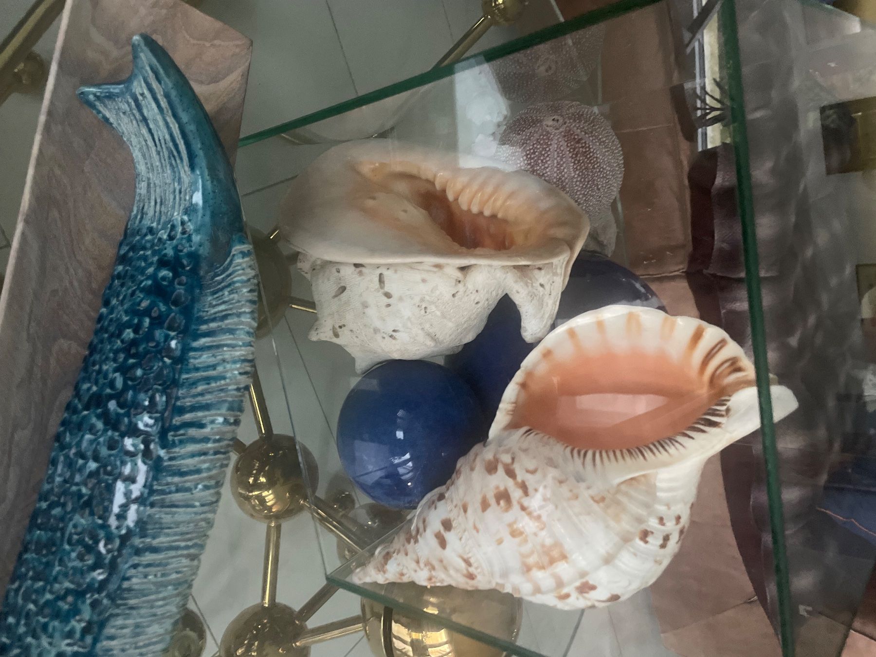 Fossili: Div grosse Muscheln – Usato da Au ZH venduto da Daiga 3