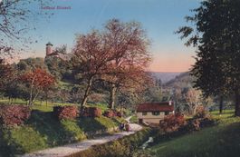 Schloss Birseck