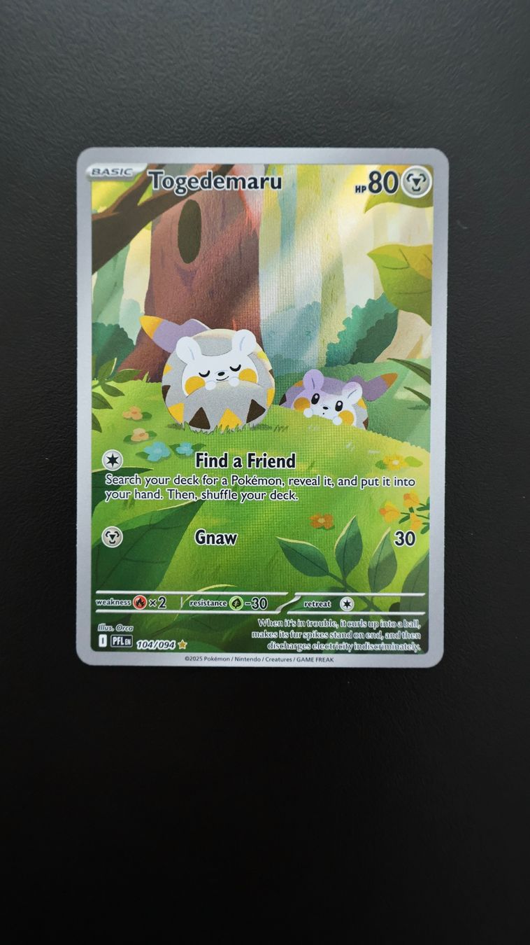 Pokémon Cartes à collectionner: Pokémon Togedemaru #104 – Neuf avec emballage d'origine à Obfelden par vivialexandra