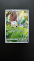 Pokémon Togedemaru #104