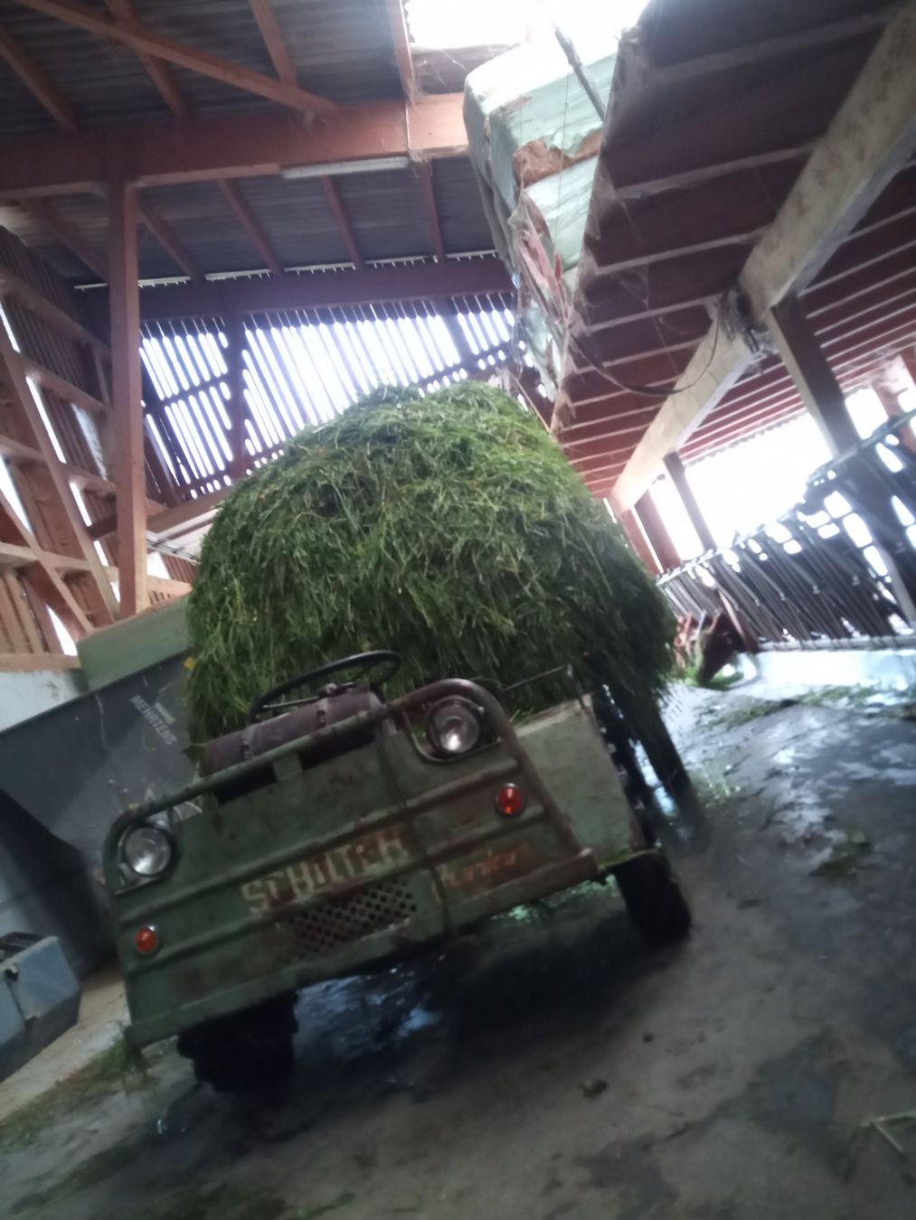 Schilter Tracteurs: Schilter Junior Transporter – D'occasion à Urnäsch par seruna