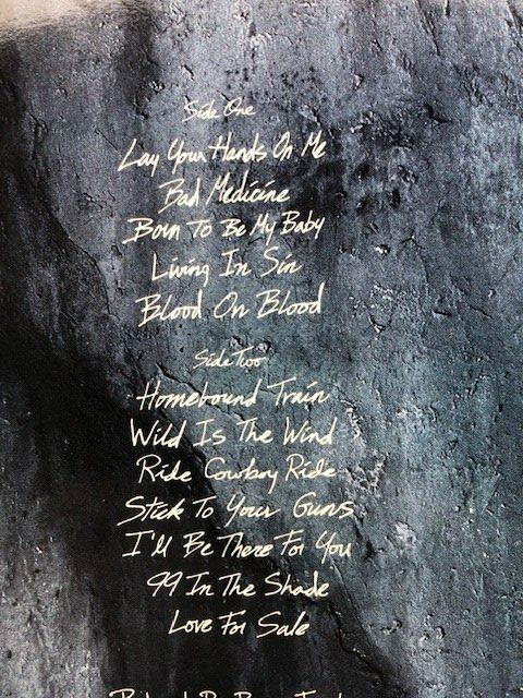 Dischi in vinile: Bon Jovi – Usato da Aarwangen venduto da Jukebox3 3