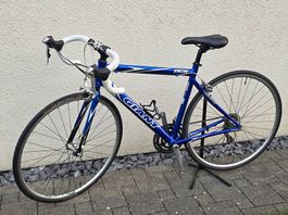 Ab Service, gut erhaltenes Giant OCR Rennvelo