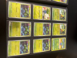 Pokemon Kartensammlung