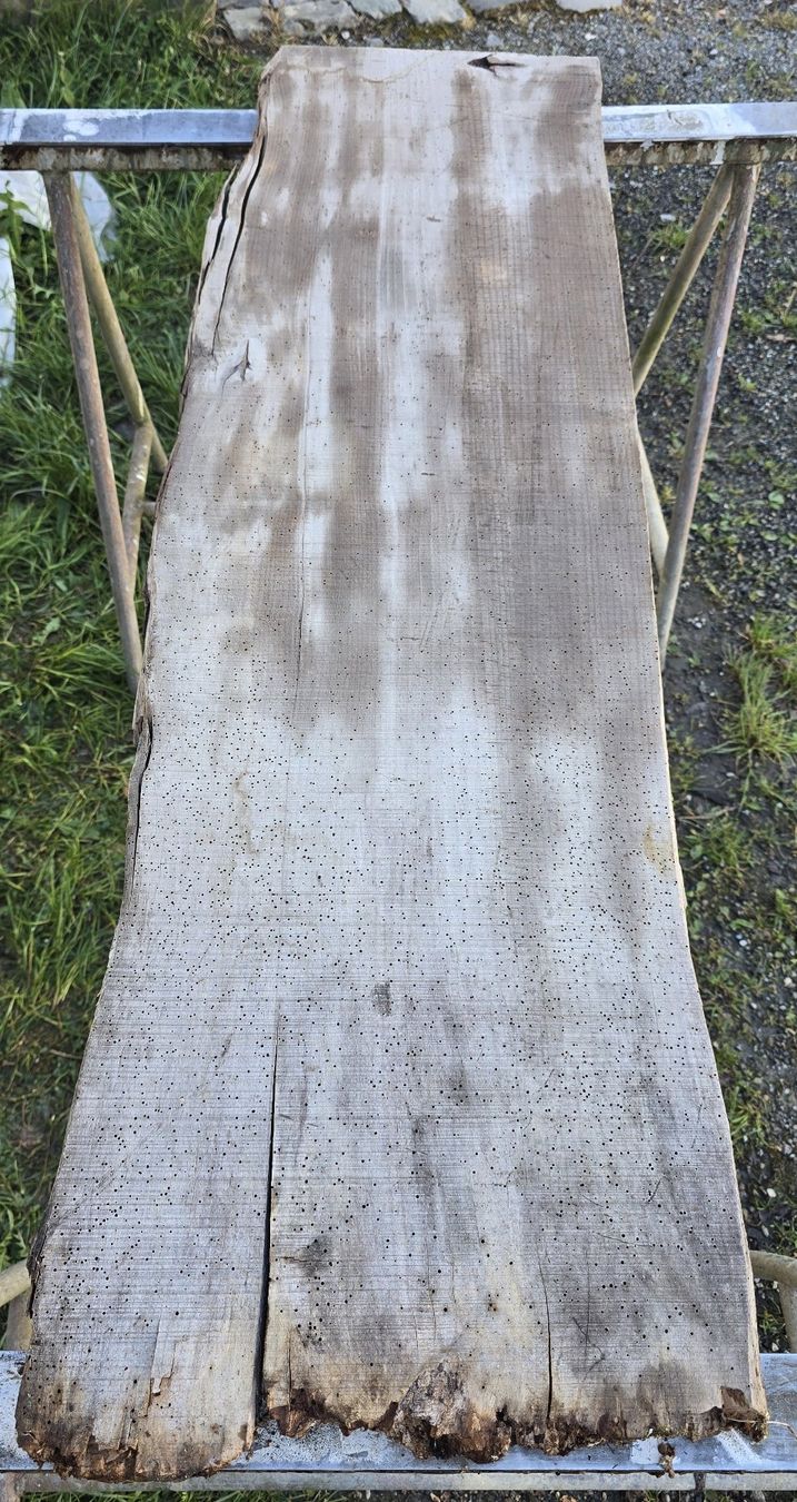 Articoli in legno: Altes Holzbrett – Usato da Rorschacherberg venduto da snOOpydOg11