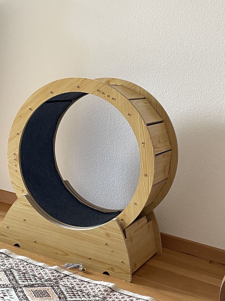 Pneus & Roues: Roue d’exercice pour chat neuve – Neuf (Voir description) à Lausanne par SandrineJavelot