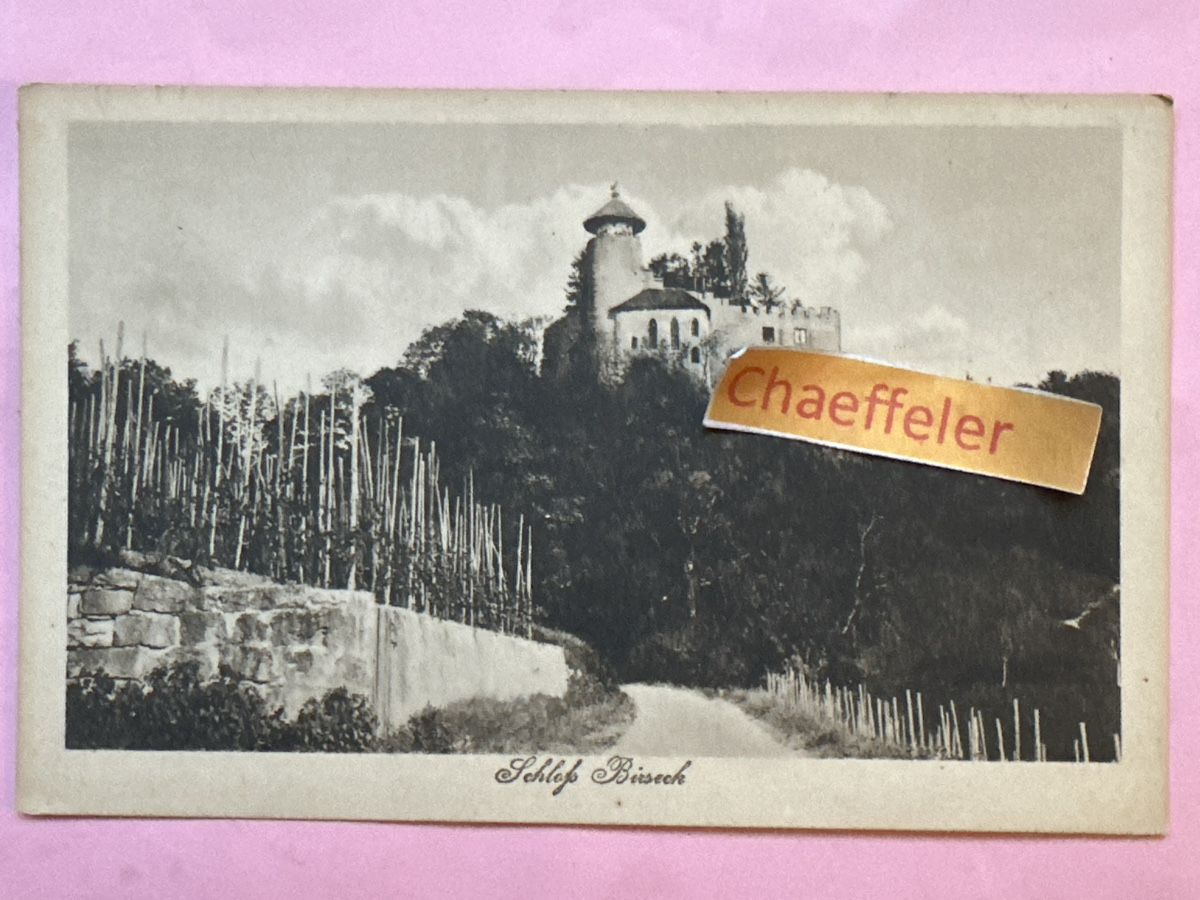 Cartes postales: Schloss Birseck – D'occasion à Zürich par Chaeffeler