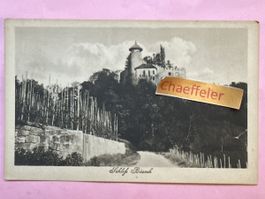 Schloss Birseck