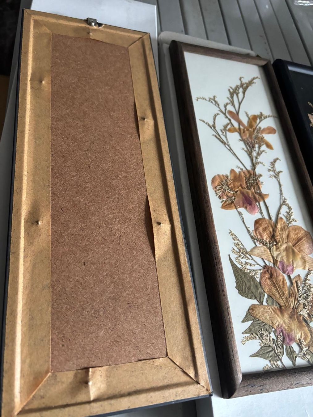 Foto & Immagini: Blumenbild 3 er Herbarium-Set Orchideen – Nuovo e nell'imballaggio originale da Regensdorf venduto da RCM_8105Regensdorf 1