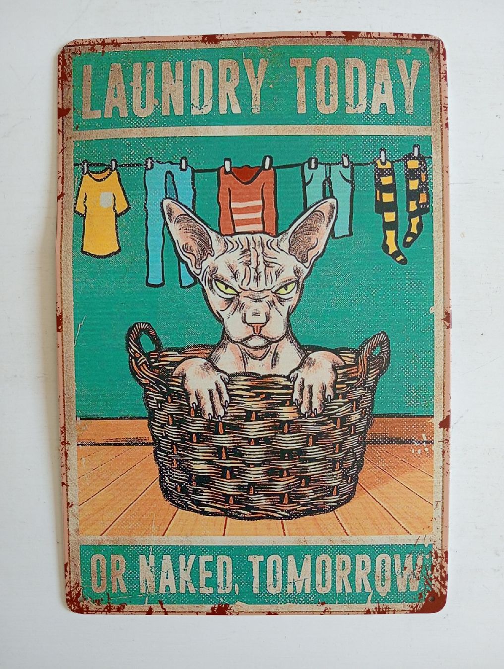 Tutte le decorazioni: Blechschild Sphynx Katze Lustig Wäsche Deko – Usato da Allschwil venduto da Evgeniia78