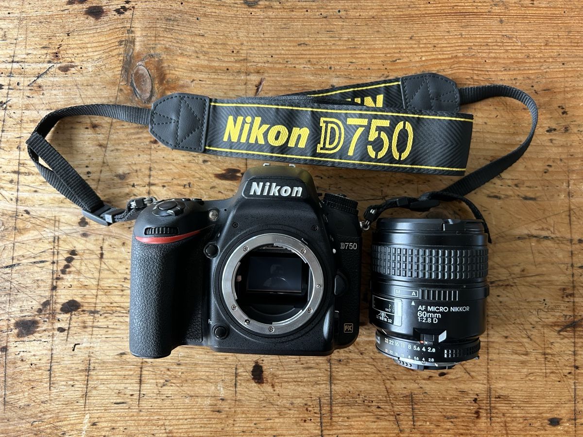 Nikon Fotocamera: Nikon D750 + Micro-Nikkor 60mm f/2.8 D – Usato da Langendorf venduto da and_vwq2