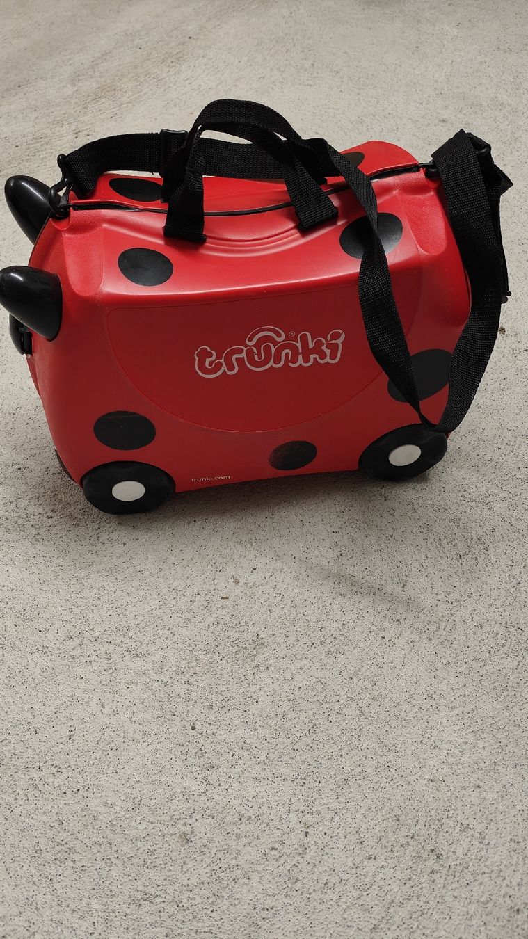 Valigie: Trunki – Usato da Hagendorn venduto da dropped