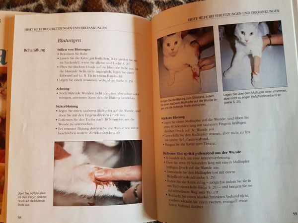 Bücher: 3 Katzenbücher = 1 Preis – Gebraucht aus Oberengstringen von Sheera7 3