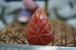 Karneol   Blatt Geschnitzt  Cabochon   Ab 1.-
