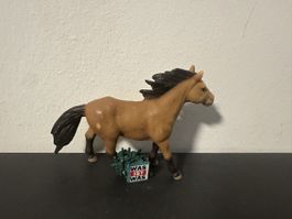Tonie  Was ist Was Pferd