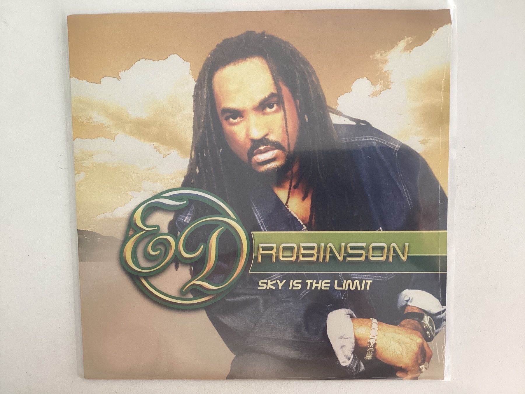 Vinyles: Ed Robinson LP - Sky The Limit (Sealed) – Neuf avec emballage d'origine à Gutenswil par Hamzian