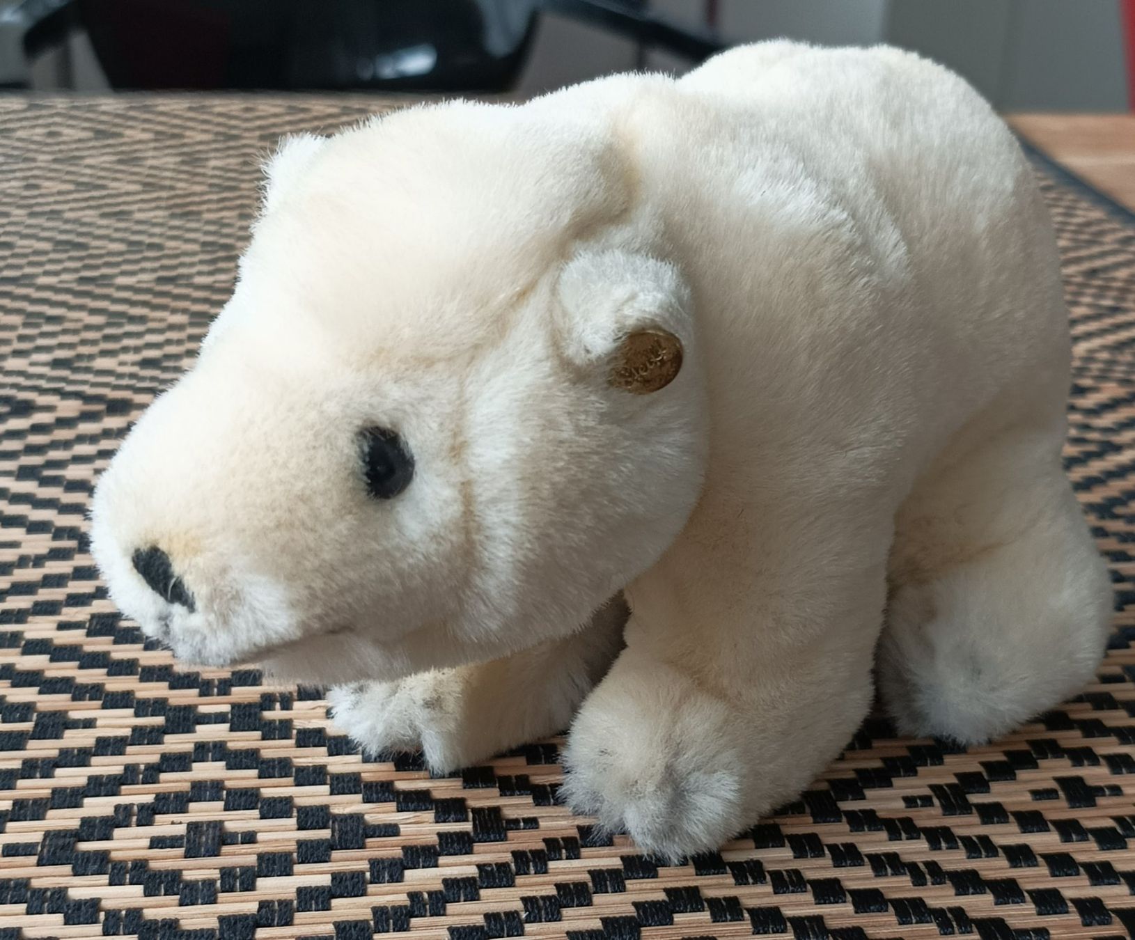 Steiff Giocattoli: Steiff Eisbär klein – Usato da Buchs/SG venduto da ori_k6tq 1