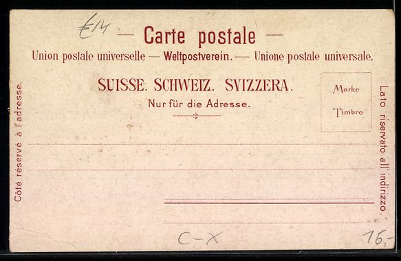 Cartoline postali: Litho Meyringen, Hotel Wildenmann und de – Usato da Berlin venduto da bartko-reher 1