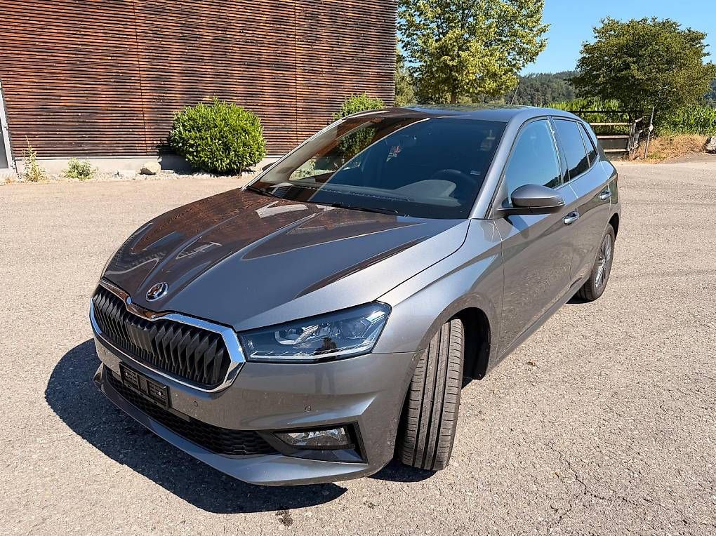 Automobili: Skoda Fabia 1.5 TSI – Usato da Gümligen venduto da Megatroniker 1