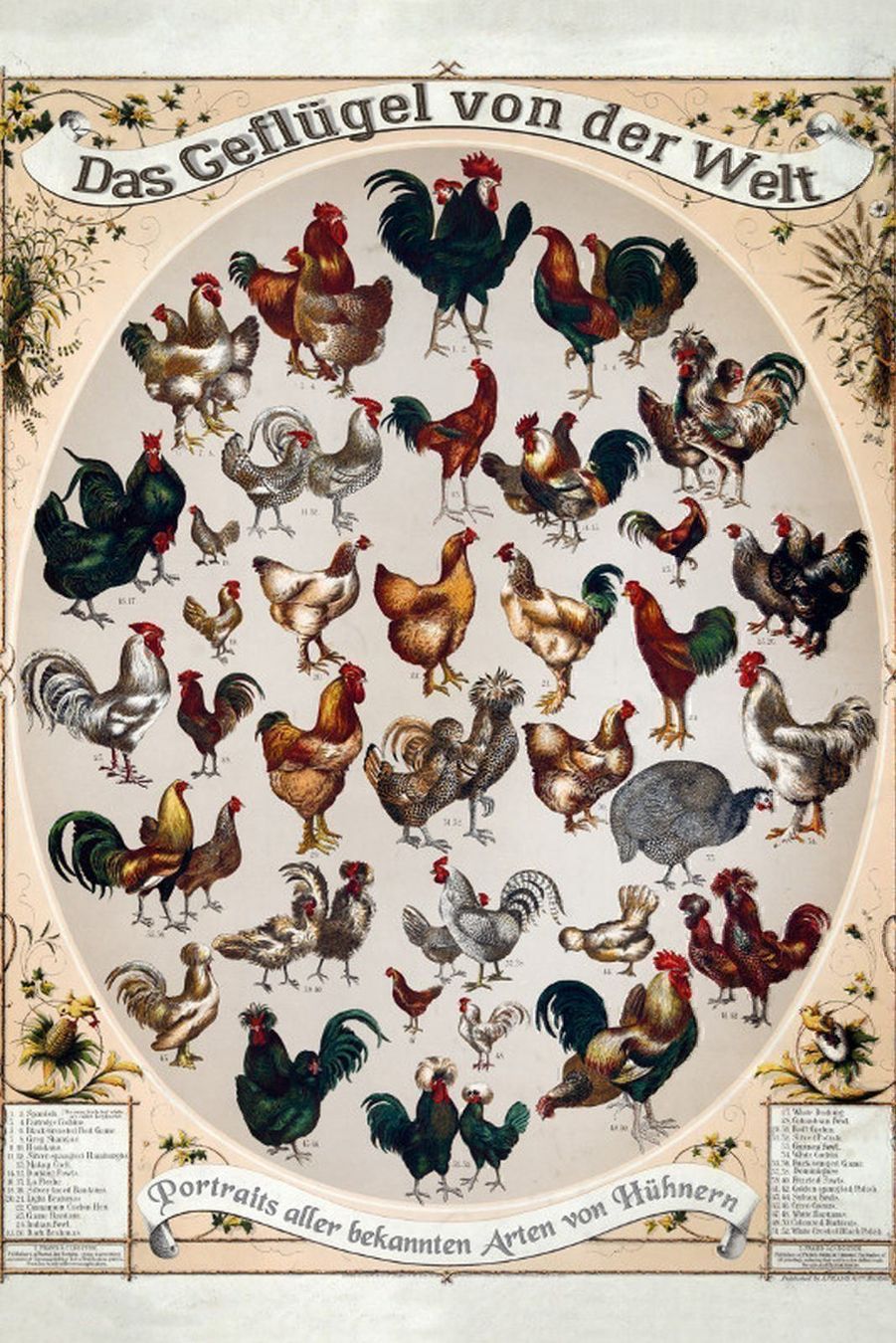 Insegne: Blechschild-GEFLÜGEL VON DER WELT – Nuovo e nell'imballaggio originale da Rupperswil venduto da big-one-sale