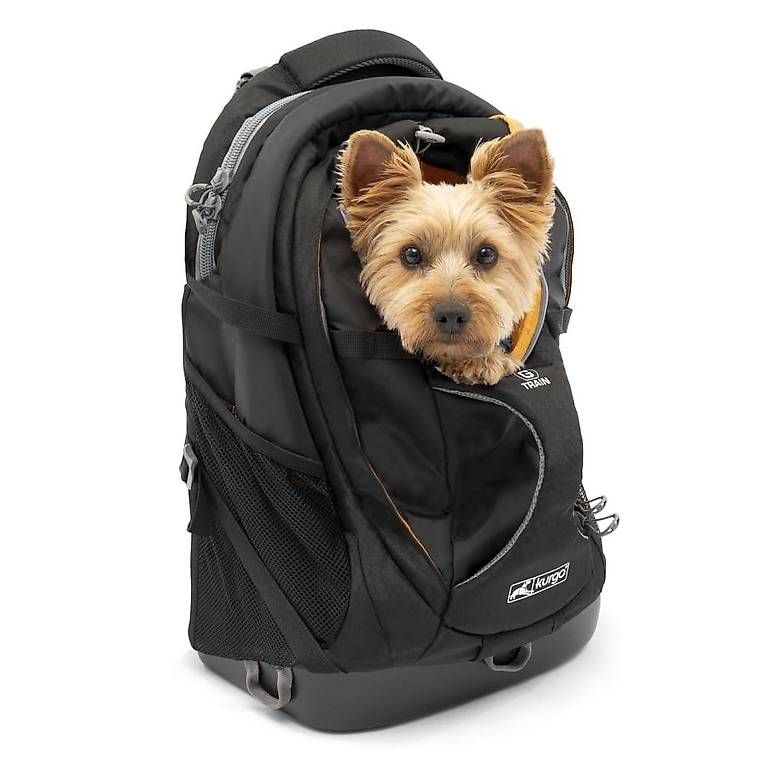 Zaini: Hunderucksack G-Train K9 – Usato da Lyss venduto da Zooroco