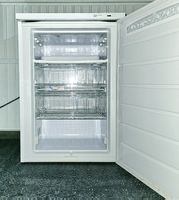 ELECTROLUX Gefrierschrank 110L technisch TOP AB NUR CHF 1.-!