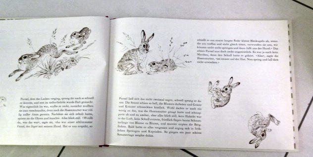 Libri: "Purzel eine Hasengeschichte – Usato da Wetzikon ZH venduto da strubeli024 2