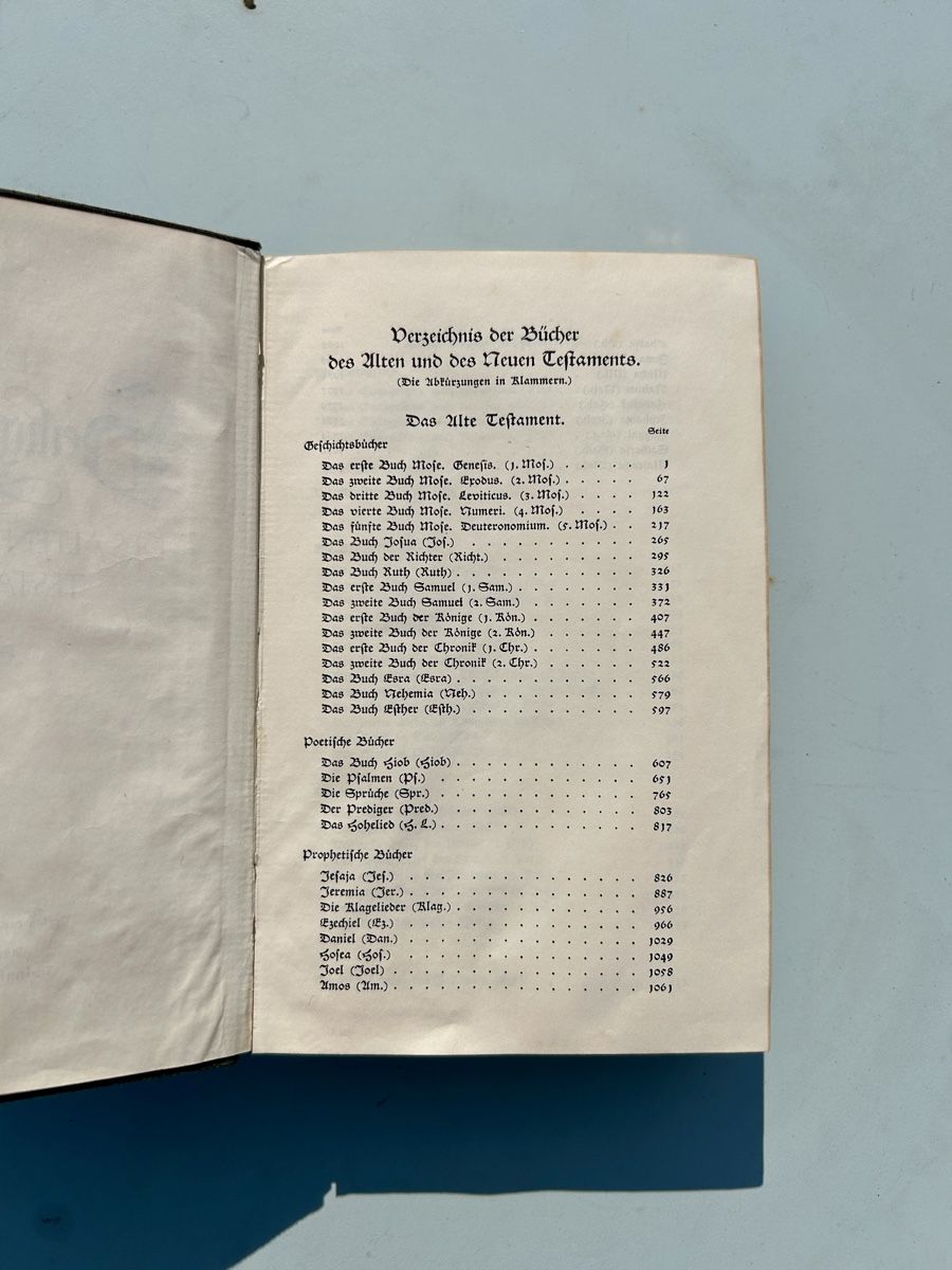 Bücher: Alte, zwinglianische Bibel, ca. 1890 – Gebraucht aus Zürich von Mary8044 2