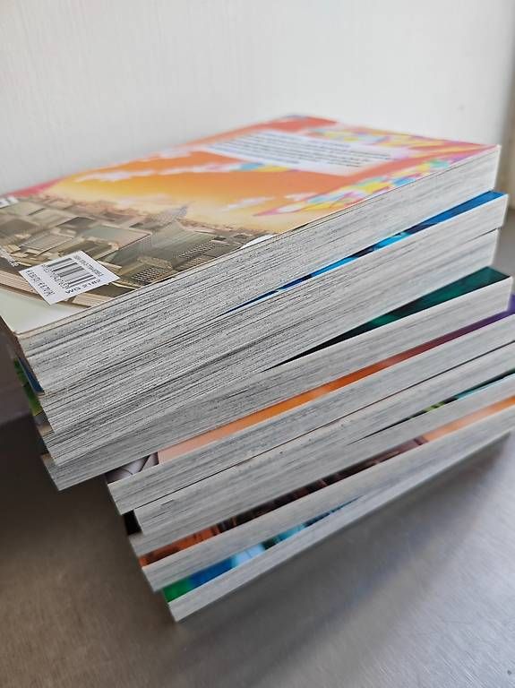 Fumetti: No. 6 Manga Komplett – Usato da Mellingen venduto da Krishi 4