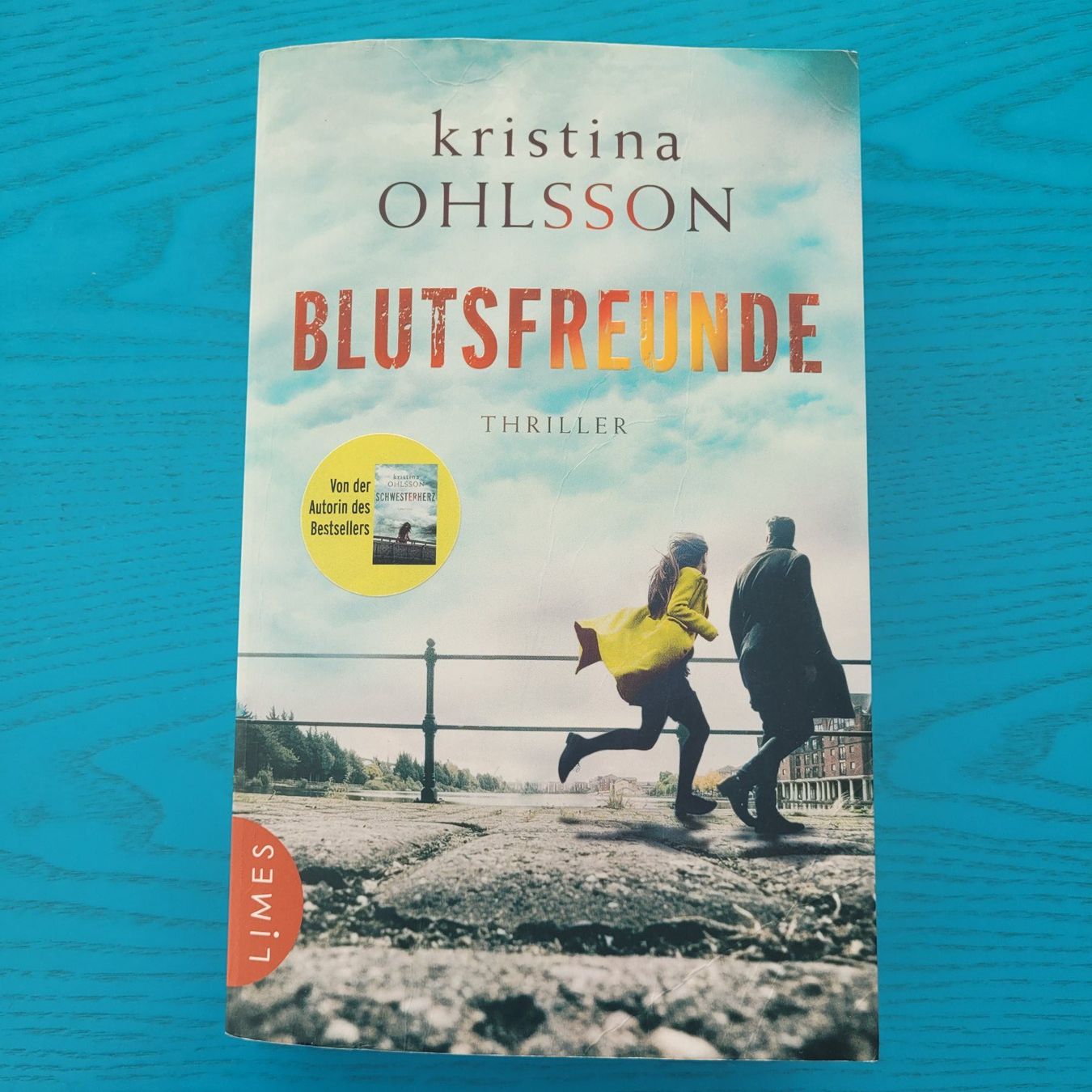 Bücher: Kristina Ohlsson- Blutsfreunde – Gebraucht aus SCHÜBELBACH von CoKaHa