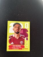 Panini QAT 8
