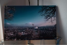 Large Framed Nature Print of Zurich city