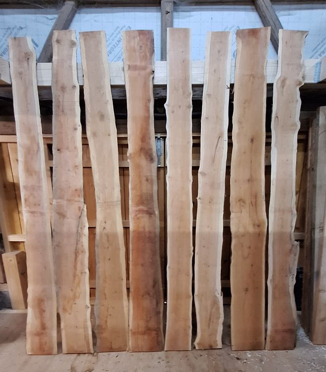 Articoli in legno: 8 Eibenbretter 30mm, trocken – Nuovo (secondo la descrizione) da Waldkirch venduto da bauprofi87
