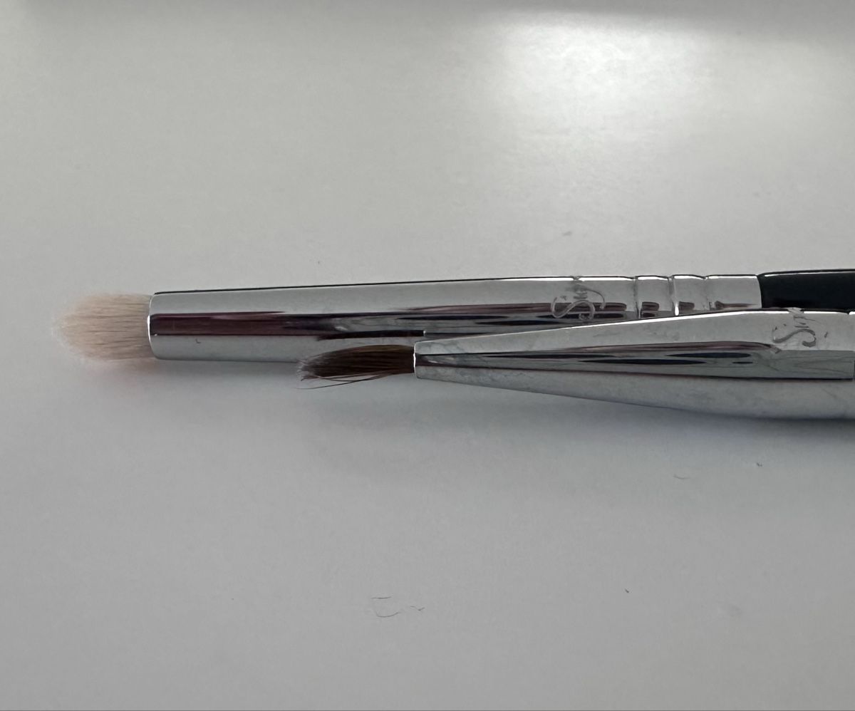 Make-up: 2 Sigma Makeup Brushes, Eye Liner E10 & Lip Brush L04 – Nuovo (secondo la descrizione) da Bülach venduto da ViktoriiaMatus 2