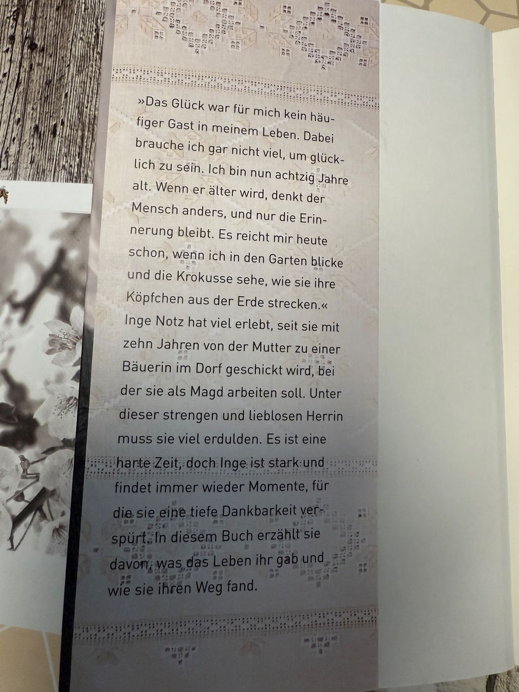 Libri: Wintererde - Mein Leben als Magd Buch – Usato da Hundwil venduto da Sandysan1702 1