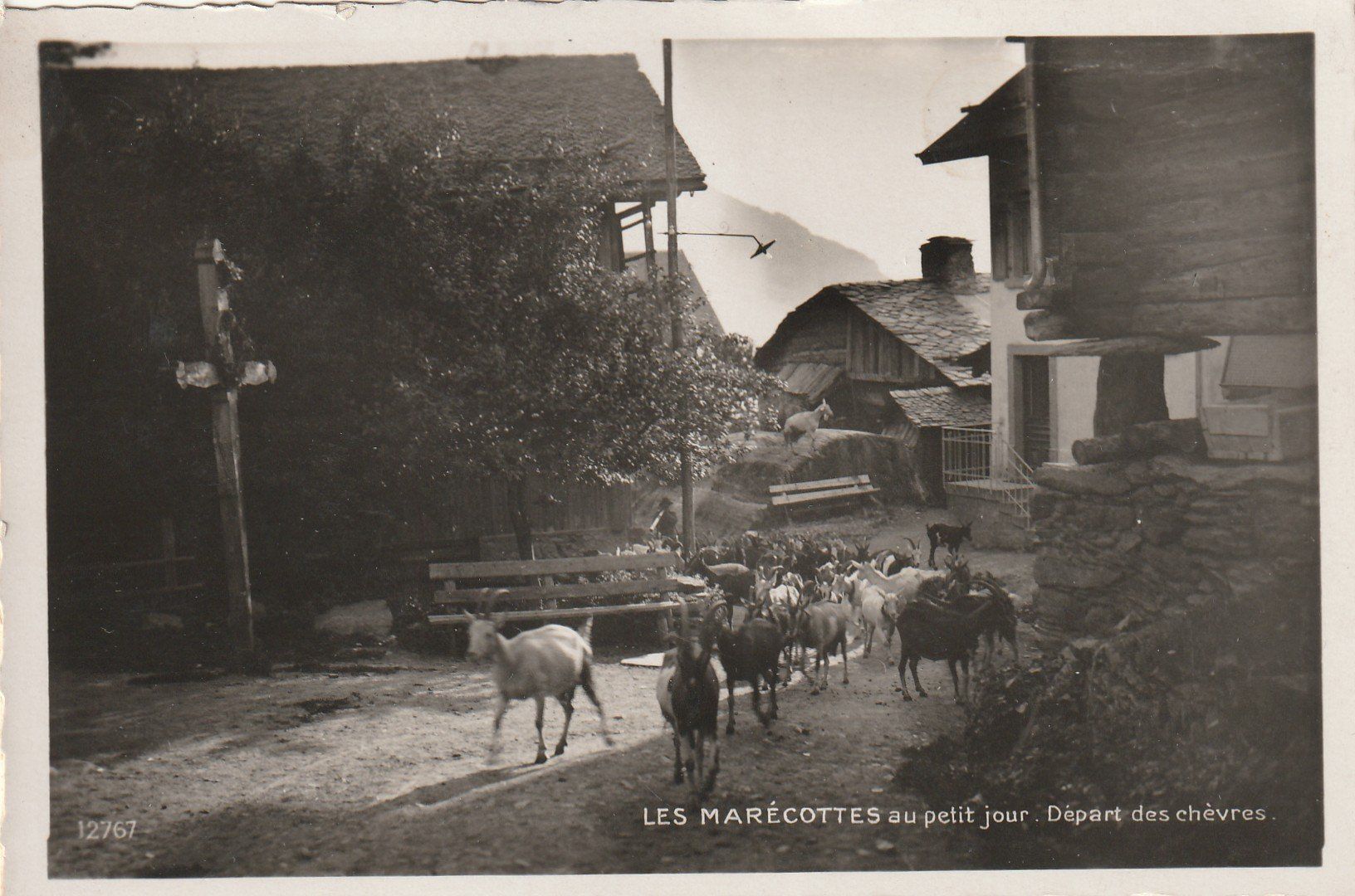 Cartoline postali: Les Marecottes mit Ziegen – Usato da Rorschacherberg venduto da fratovi2