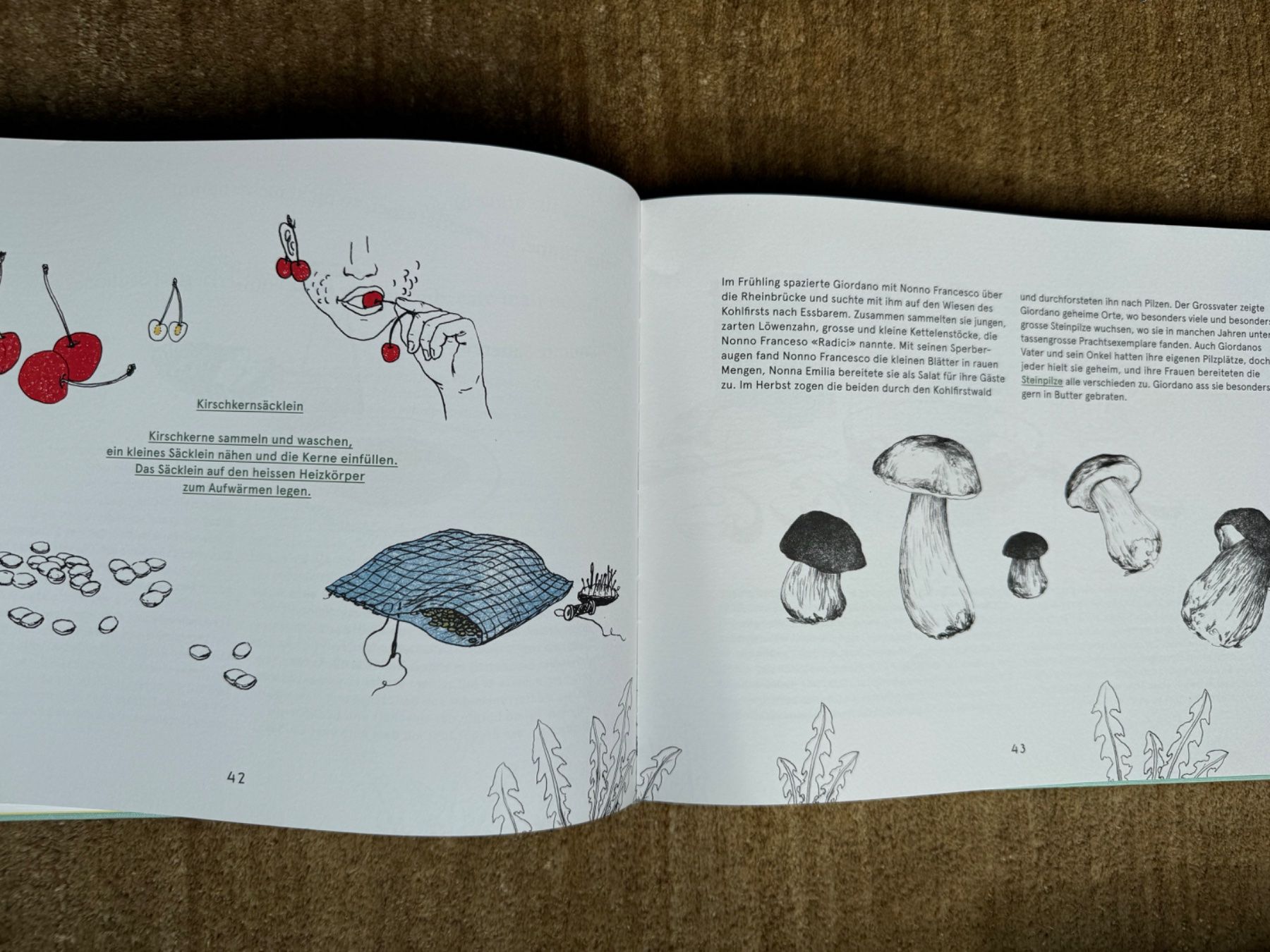 Libri: Sockenschlacht und Löwenzahn – Nuovo (secondo la descrizione) da Aarau venduto da Kilauea 5