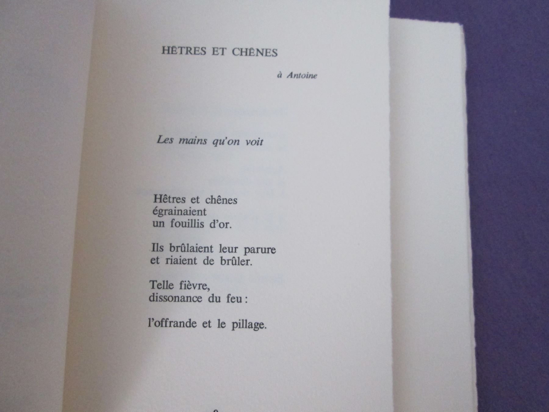 Libri: Graines - Poèmes – Usato da Neuchâtel venduto da Dualseele 3