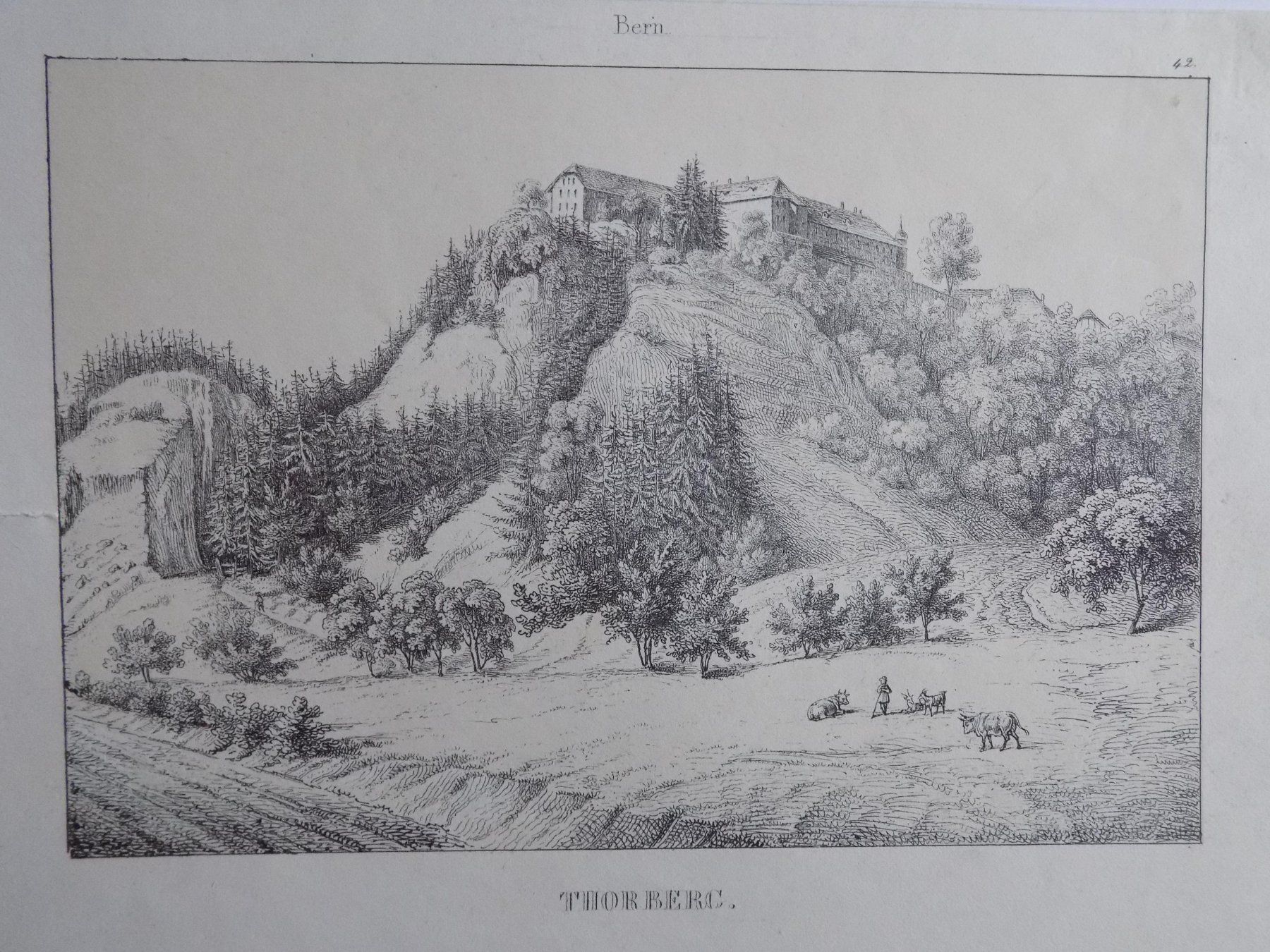 Incisioni: Thorberg Lithographie Wagner – Usato da Risch venduto da Antikfee 3
