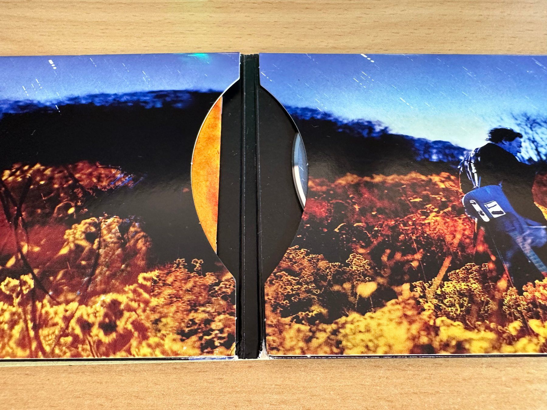 CDs: Bruce Springsteen – Working On A Dream – Gebraucht aus Rikon im Tösstal von Alpenmutz 2