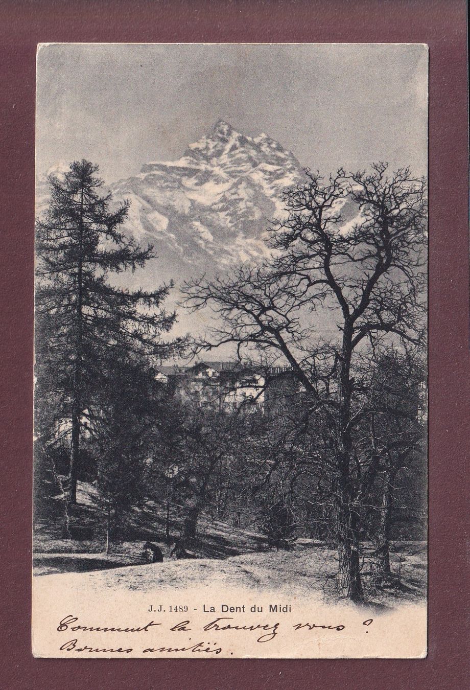 Ansichtskarten: DENTS DU MIDI depuis Bex - 1902 – Gebraucht aus Pully von nicecards