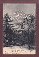 DENTS DU MIDI depuis Bex - 1902
