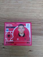 🤩 ALB 13 - Topps Euro 2024 Sticker